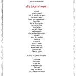 RaR2017-setlist-Totenhosen